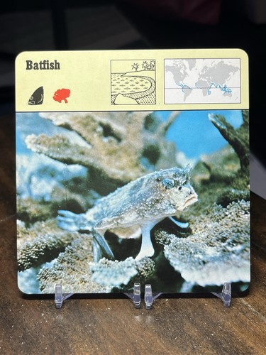 Batfish 1977 editions - batfish,,