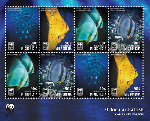 Micronesia 2014 wwf marine - micronesia,
