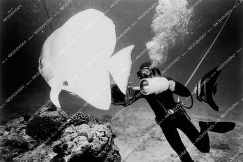 1976 underwater photographer - (,